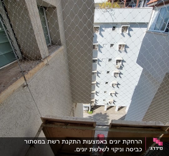 רשת מתכת מותקנת למניעת כניסת יונים